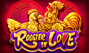 ROOSTER IN LOVE